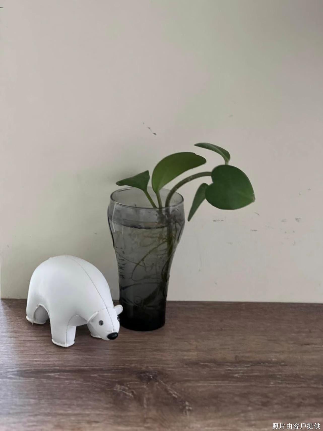 Kwong Tak Building - Image 4